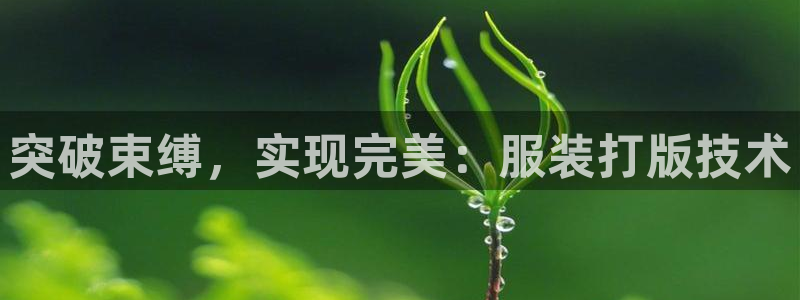 开丰娱乐官网招聘