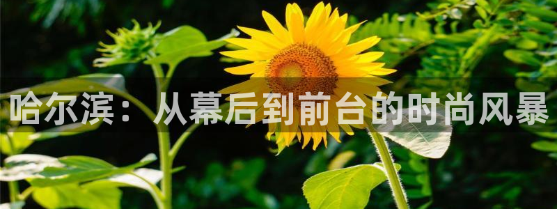 开丰娱乐怎么样