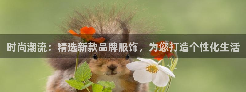 开丰娱乐开户