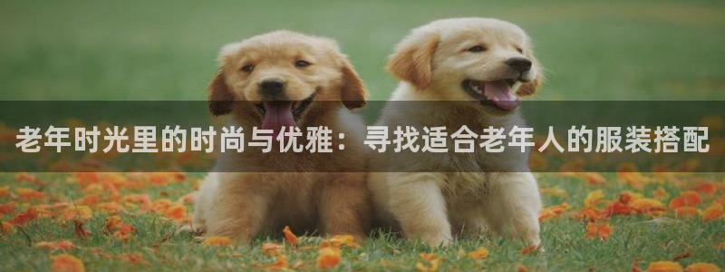 开丰娱乐登入
