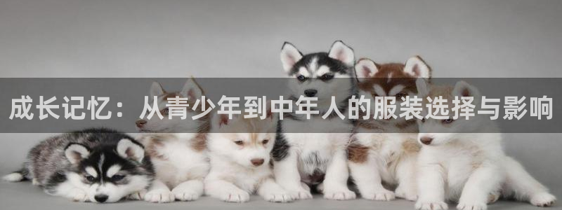 开丰娱乐登录平台下载