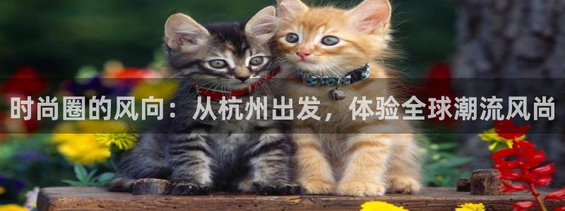 开丰娱乐网站官网