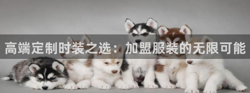 开丰娱乐不开了吗