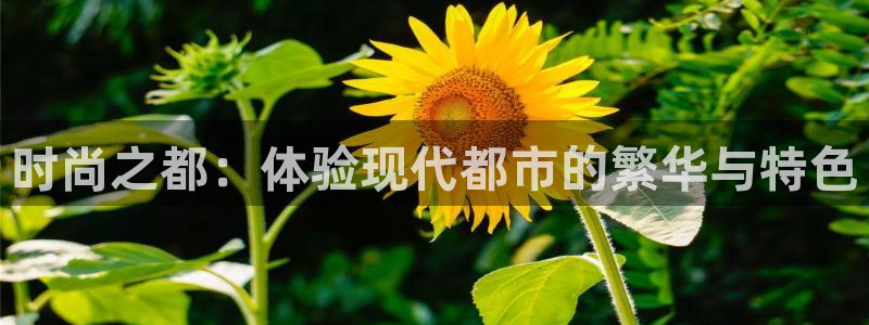 开丰娱乐登入地址在哪查