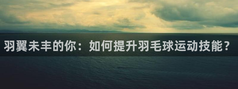 开丰娱乐主管