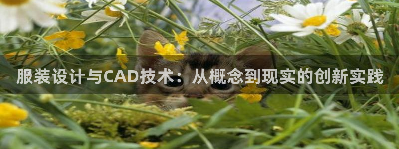 开丰娱乐平台地址在哪里