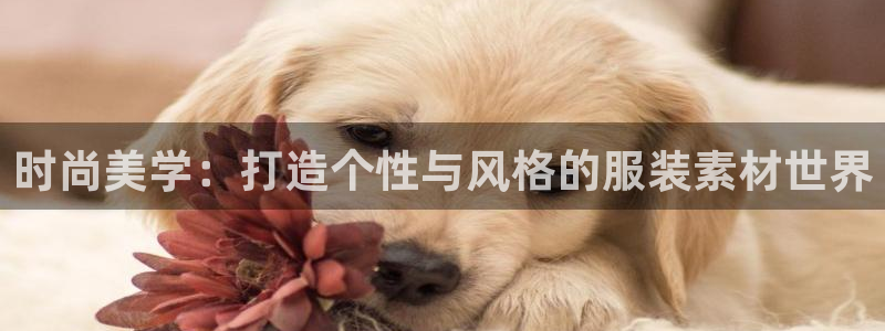 开丰娱乐登入地址在哪