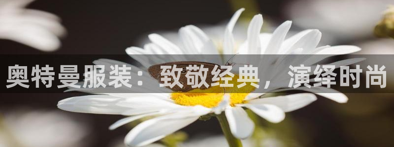 开丰娱乐网站