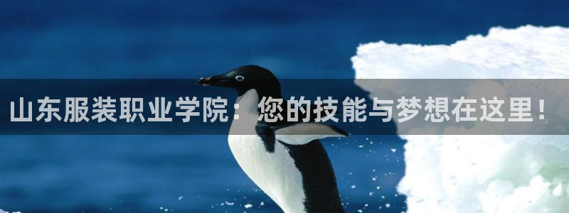开丰娱乐官网首页