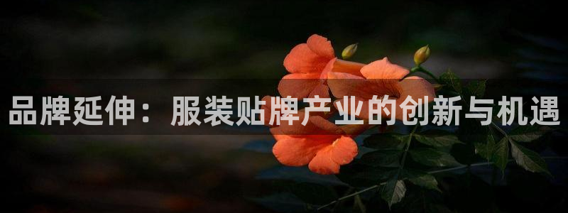开丰娱乐登陆地址