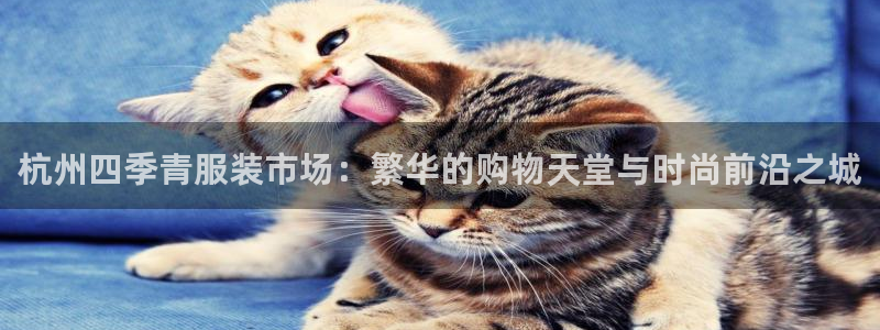 开丰娱乐日