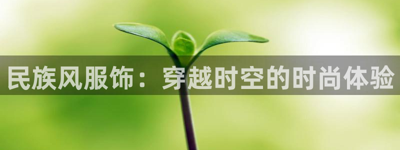 开丰娱乐官网平台