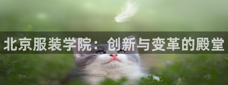开丰娱乐天富娱乐