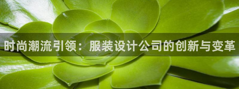 开丰娱乐姜333OO