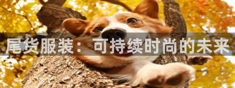 开丰娱乐巾67五壹叁八
