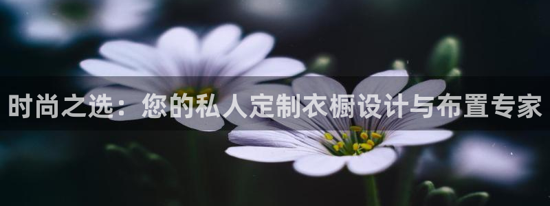 开丰娱乐平台提现失败
