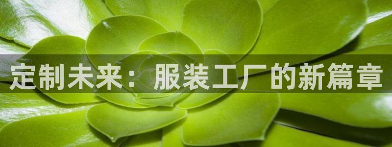 开丰娱乐最新活动