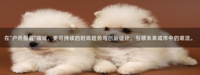 开丰娱乐登入地址是什么