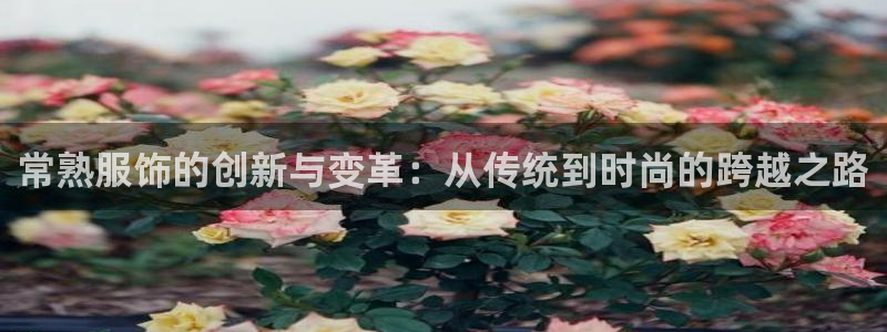 开丰娱乐登录官方网站