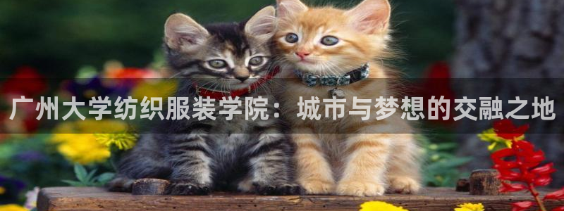 开丰娱乐怎么样