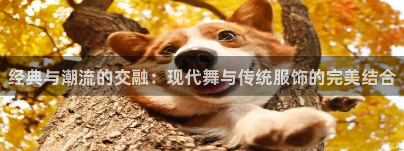 开丰娱乐官方app