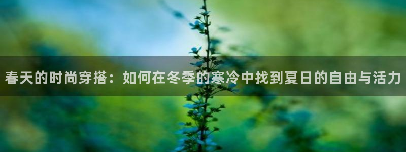 开丰娱乐最新活动
