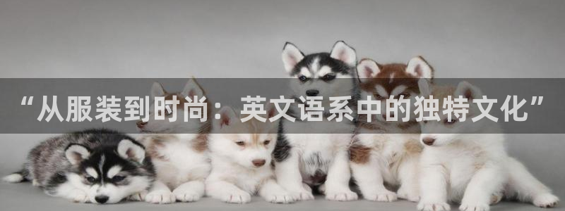 开丰娱乐地址查询