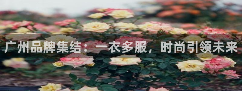 开丰娱乐登录官方网站