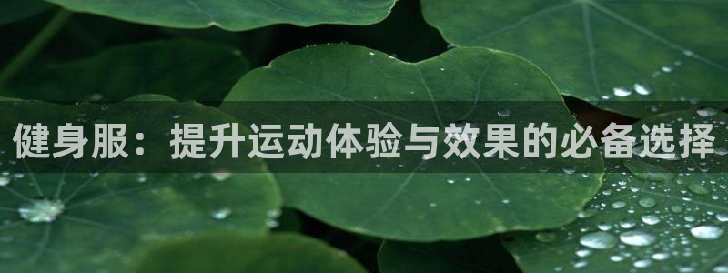 开丰娱乐登录注册