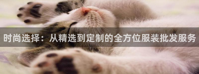 开丰娱乐网站官网