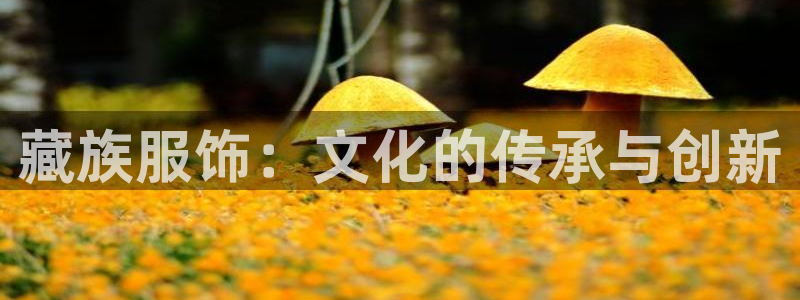 开丰娱乐联系q徽22212