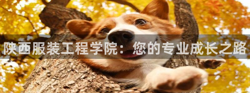 开丰娱乐寸67五壹叁八