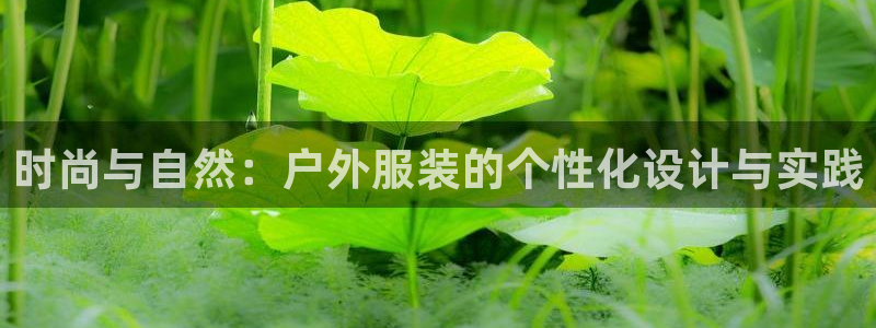 开丰娱乐地址查询