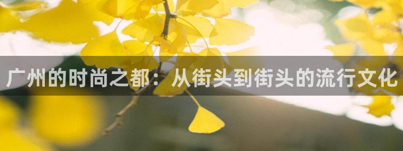 开丰娱乐登入地址在哪里