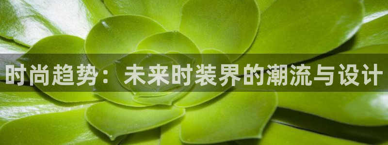 开丰娱乐官网最新消息